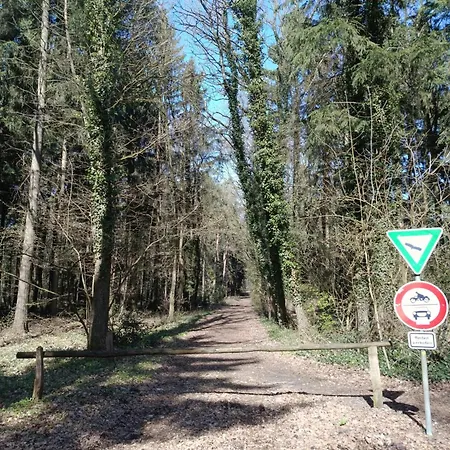 Prázdninový dům Holzhaus Traum Im Wald Kamin Teich Und 1300qm *
