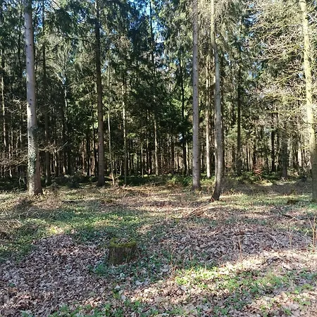 Holzhaus Traum Im Wald Kamin Teich Und 1300qm Дом отдыха